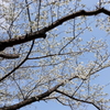 山手イタリア山庭園-138
