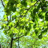 箱根-118