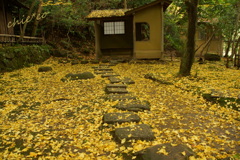 三渓園-312