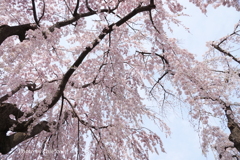 山下公園-155