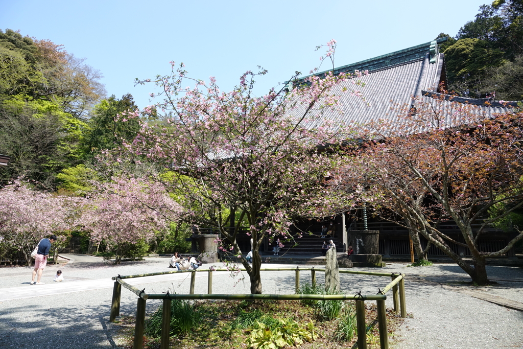 鎌倉-060