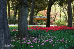 Yokohama-397