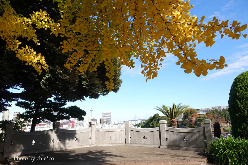 山手イタリア山庭園-157