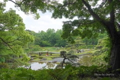 皇居東御苑-131