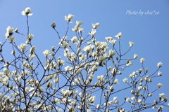 山下公園と・・-199