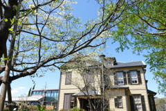 山手イタリア山庭園-111