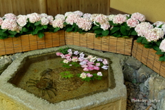 鎌倉-247