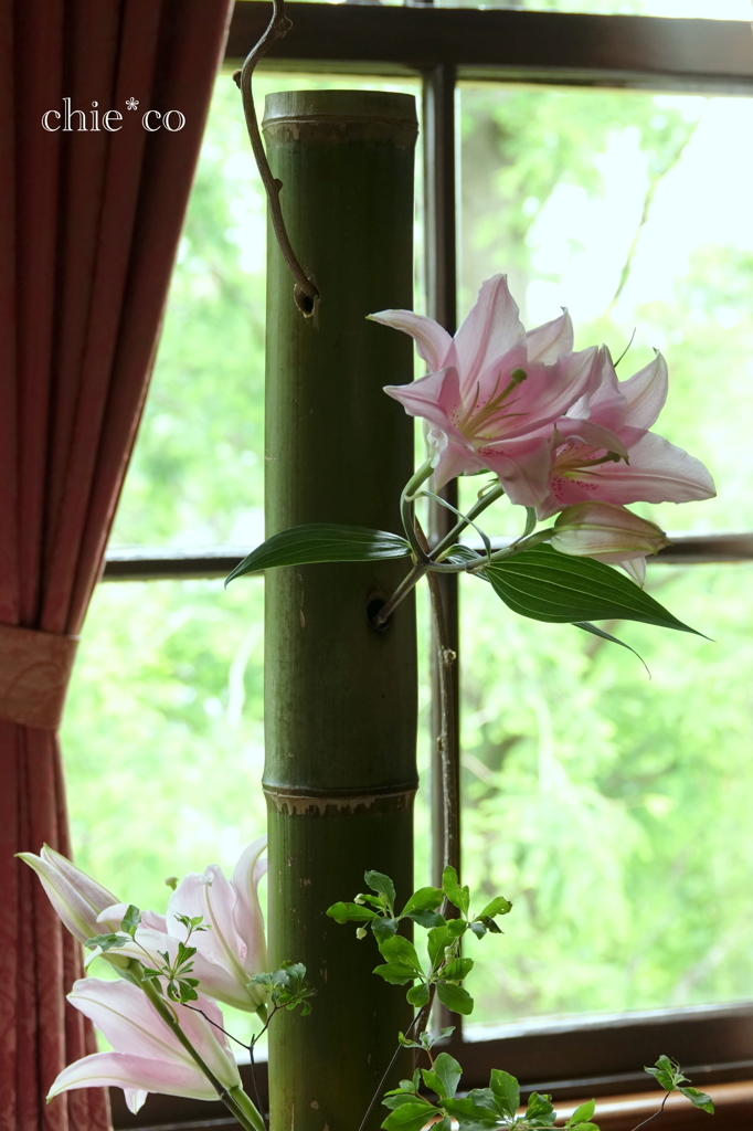 花と器のハーモニー2019-378