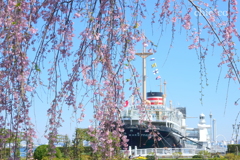 山下公園-156