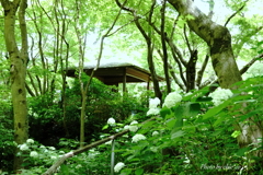 鎌倉一条恵観山荘-172