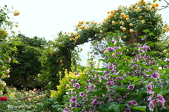 港の見える丘公園-077