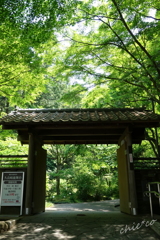 久良岐公園-250
