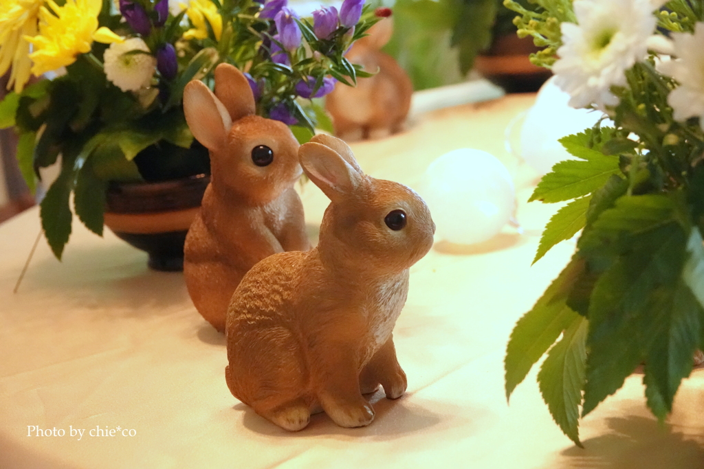お月見装飾～ブラフ18番館-013