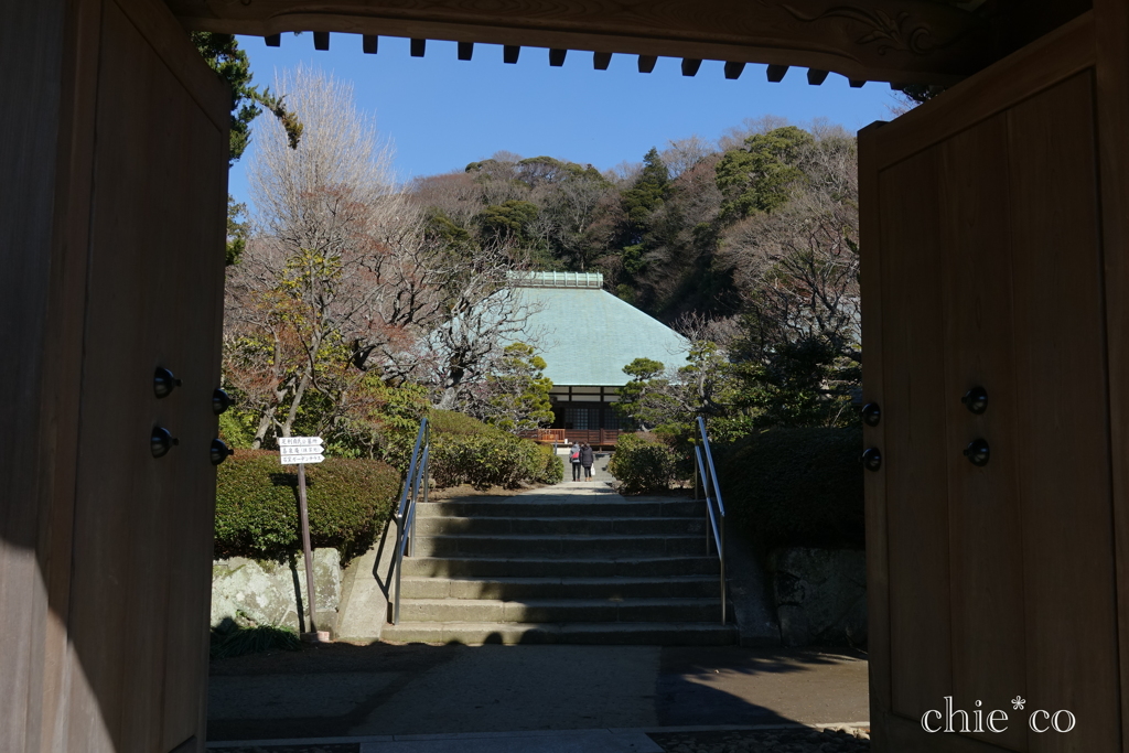 鎌倉-196