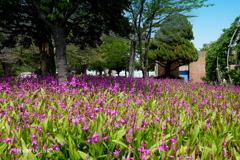 山下公園-146