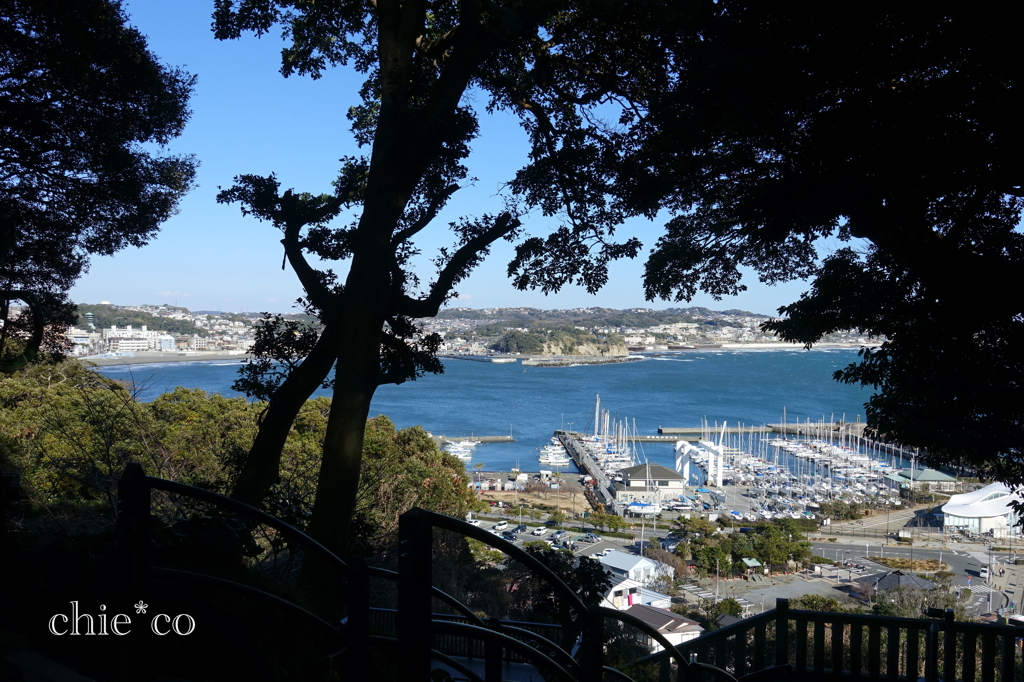 江の島-321