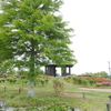 水郷佐原-215