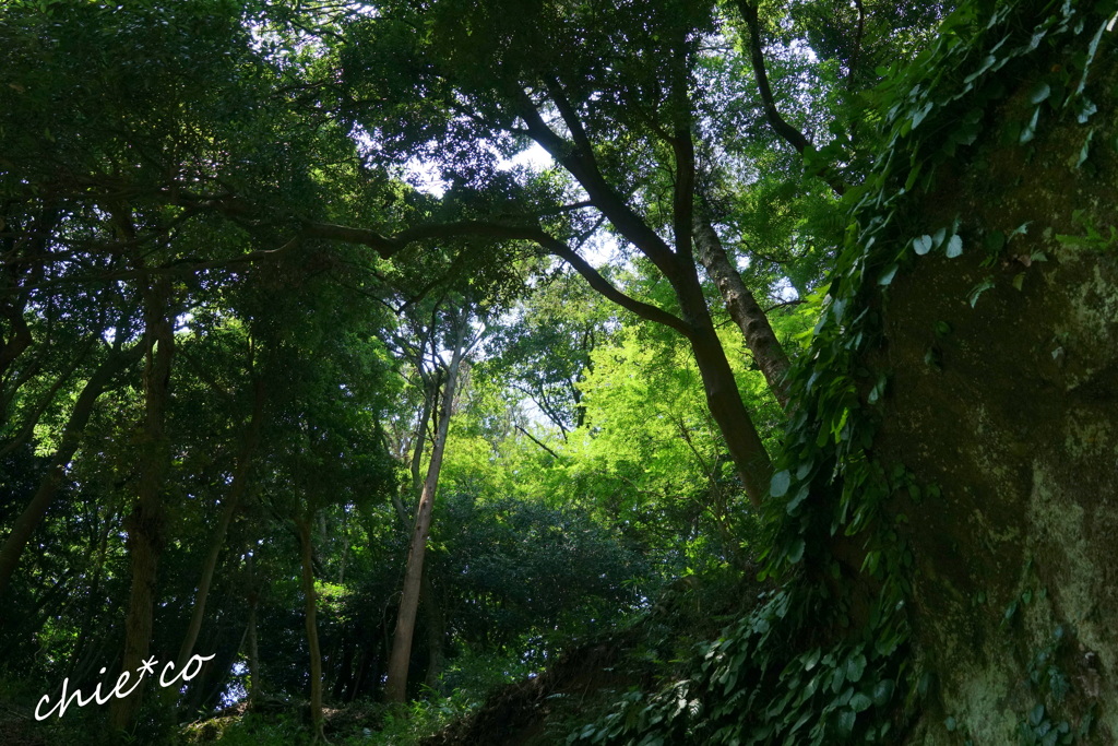 鎌倉-679