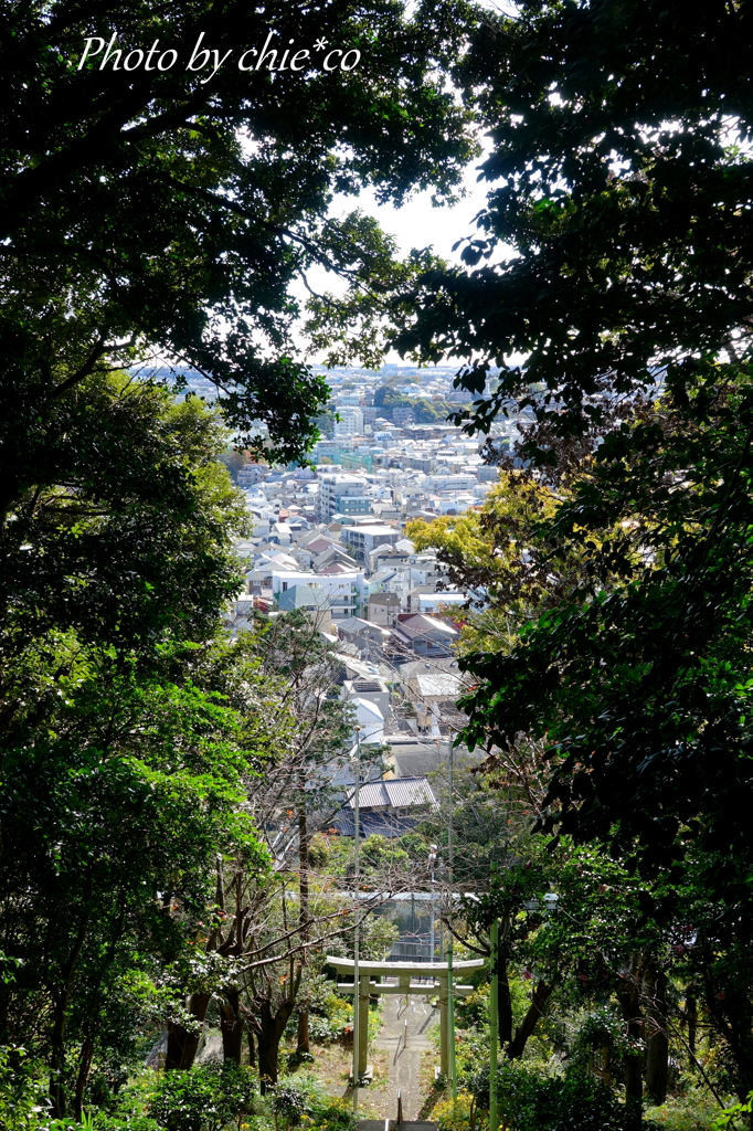 森浅間神社-148