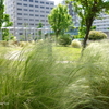 山下公園-088