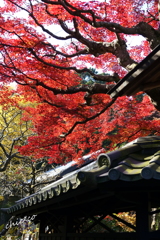 北鎌倉-335