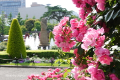 山下公園-114