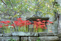 鎌倉-219