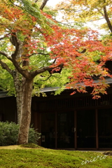 箱根美術館庭園-189