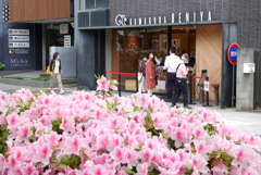 鎌倉-091