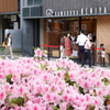 鎌倉-091