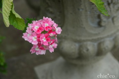 山手イタリア山庭園-326