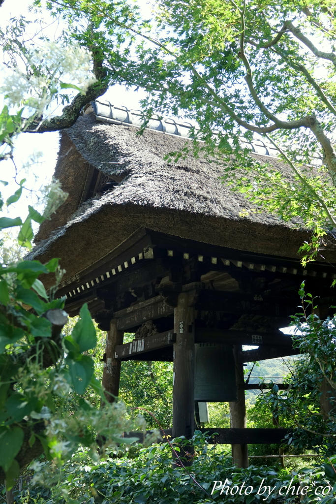 北鎌倉-206