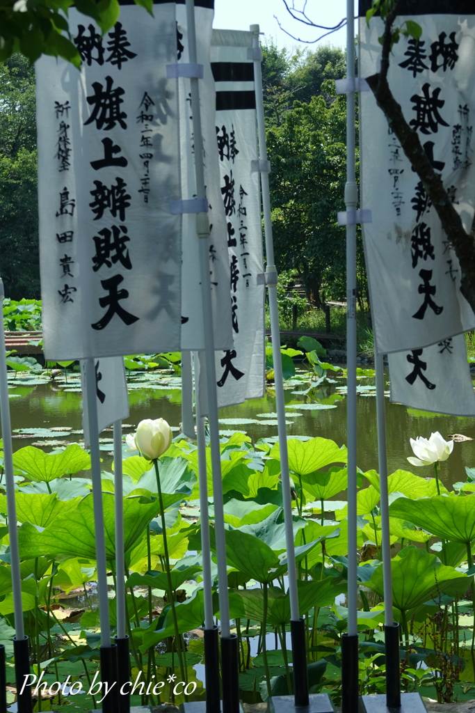 鎌倉-174