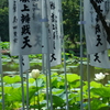 鎌倉-174