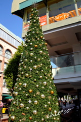 DSC09453-001