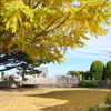 山手イタリア山庭園-097