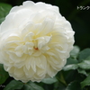港の見える丘公園-087