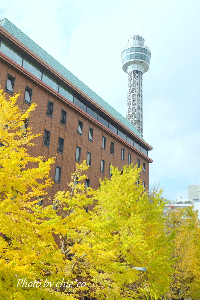 山下公園-110