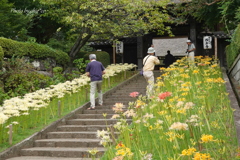 西方寺-152