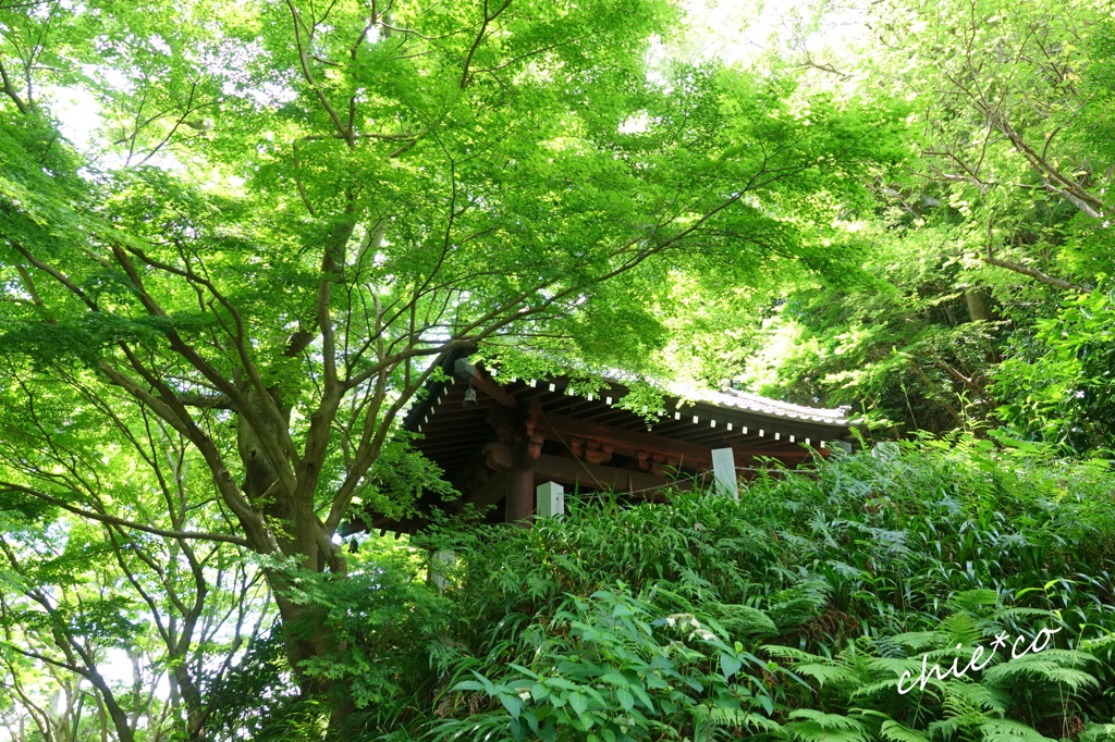 鎌倉-105