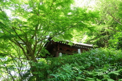 鎌倉-105