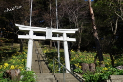 森浅間神社-071