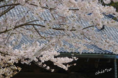 鎌倉-340
