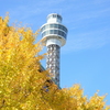 Yokohama 秋彩 -093