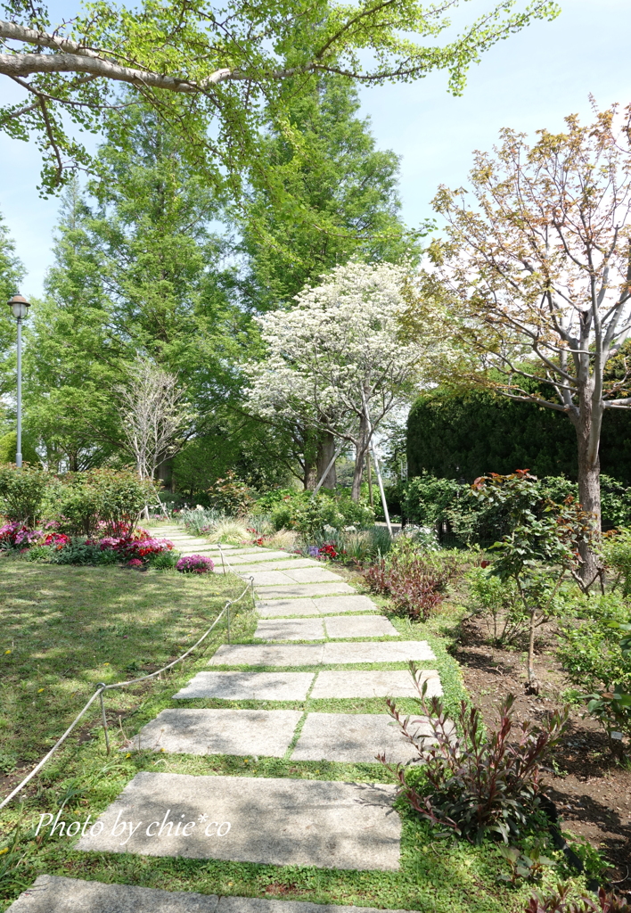 石川町～イタリア山庭園-205