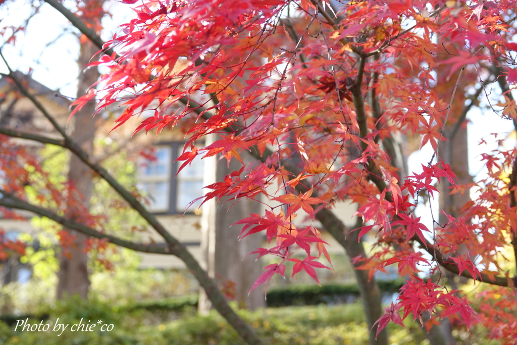 山手イタリア山庭園-159