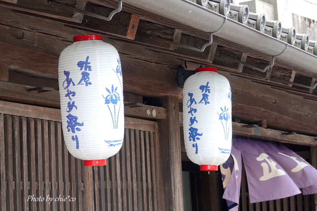 水郷佐原-207