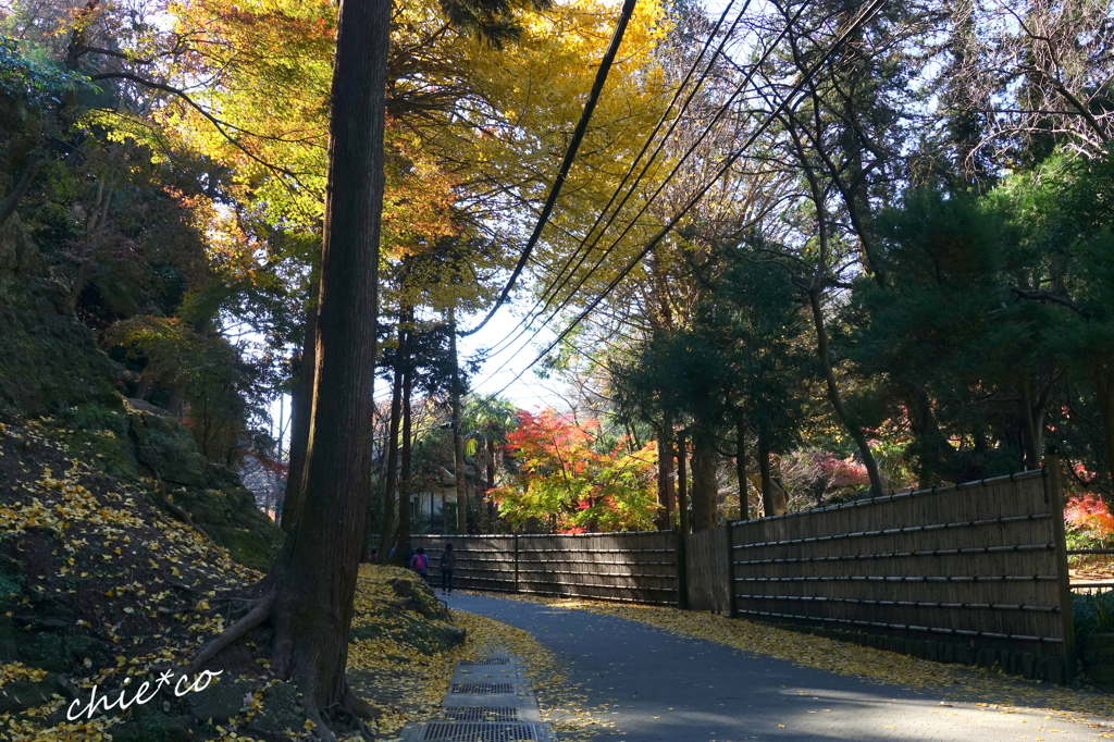 北鎌倉-314