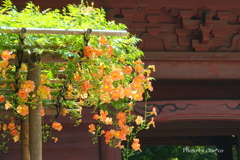 鎌倉-102