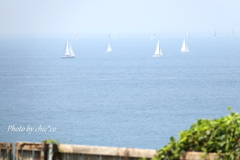優しいいろの海。。2